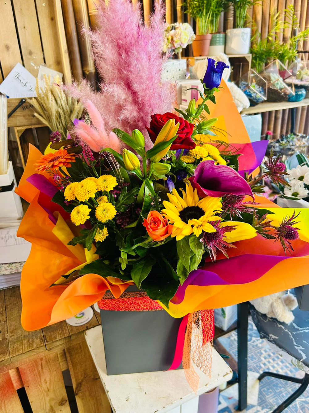 Rainbow Delight Product Image