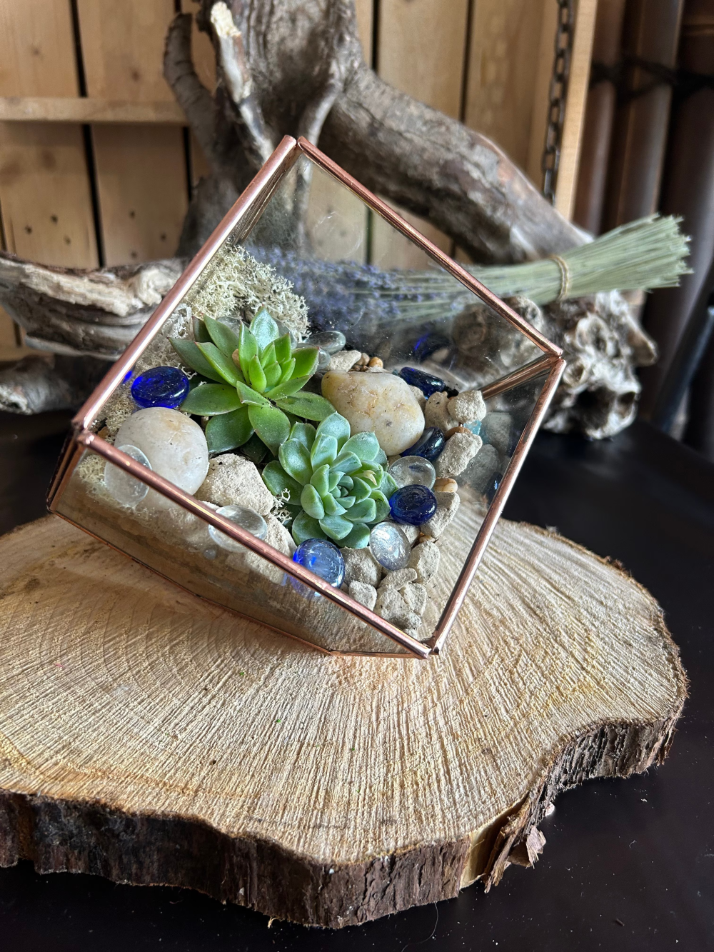 Rose Gold Edge Square Glass Tilted Cube Terrarium Product Image
