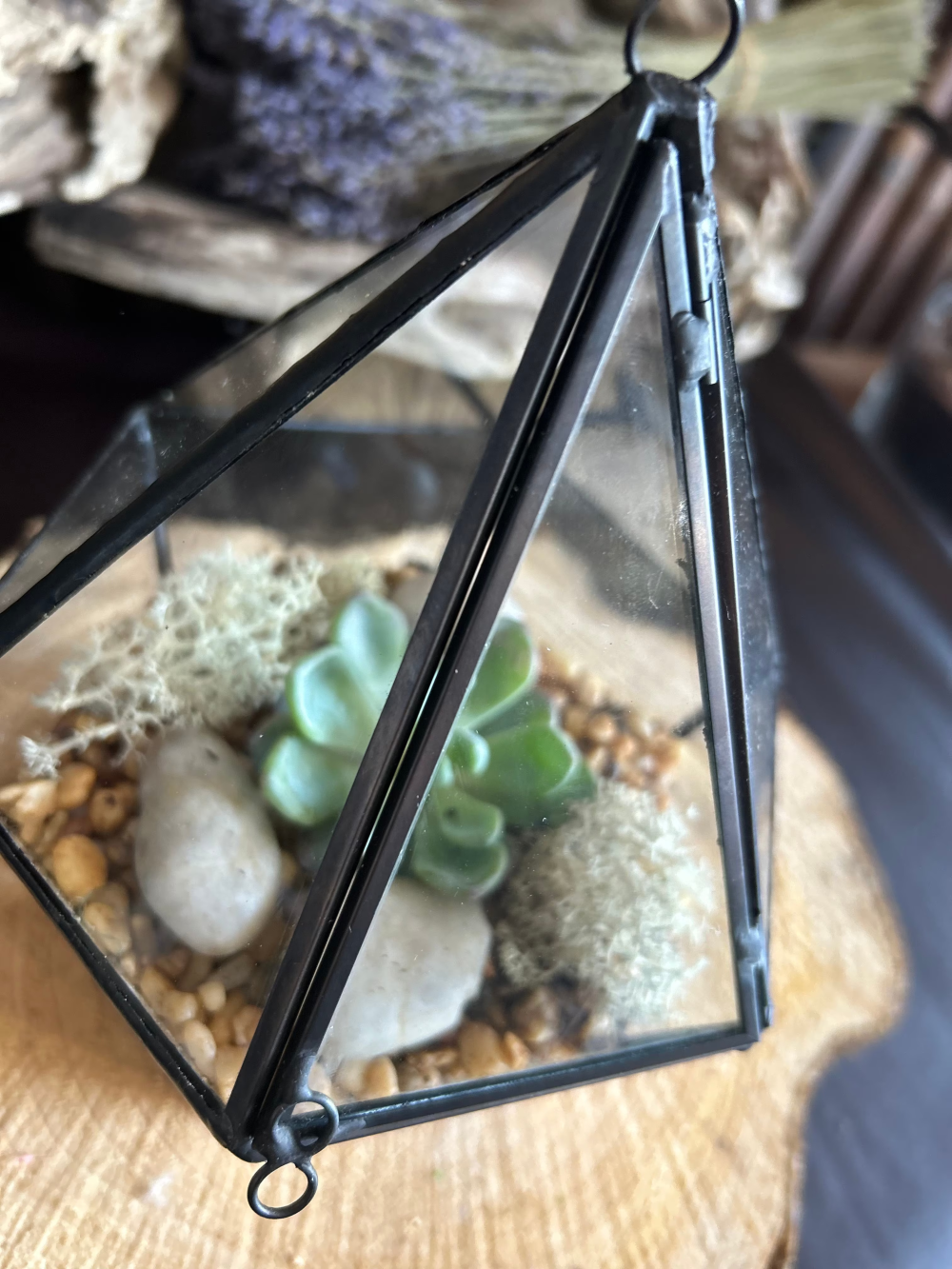 Black Edge Geometric Triangle Terrarium Product Image