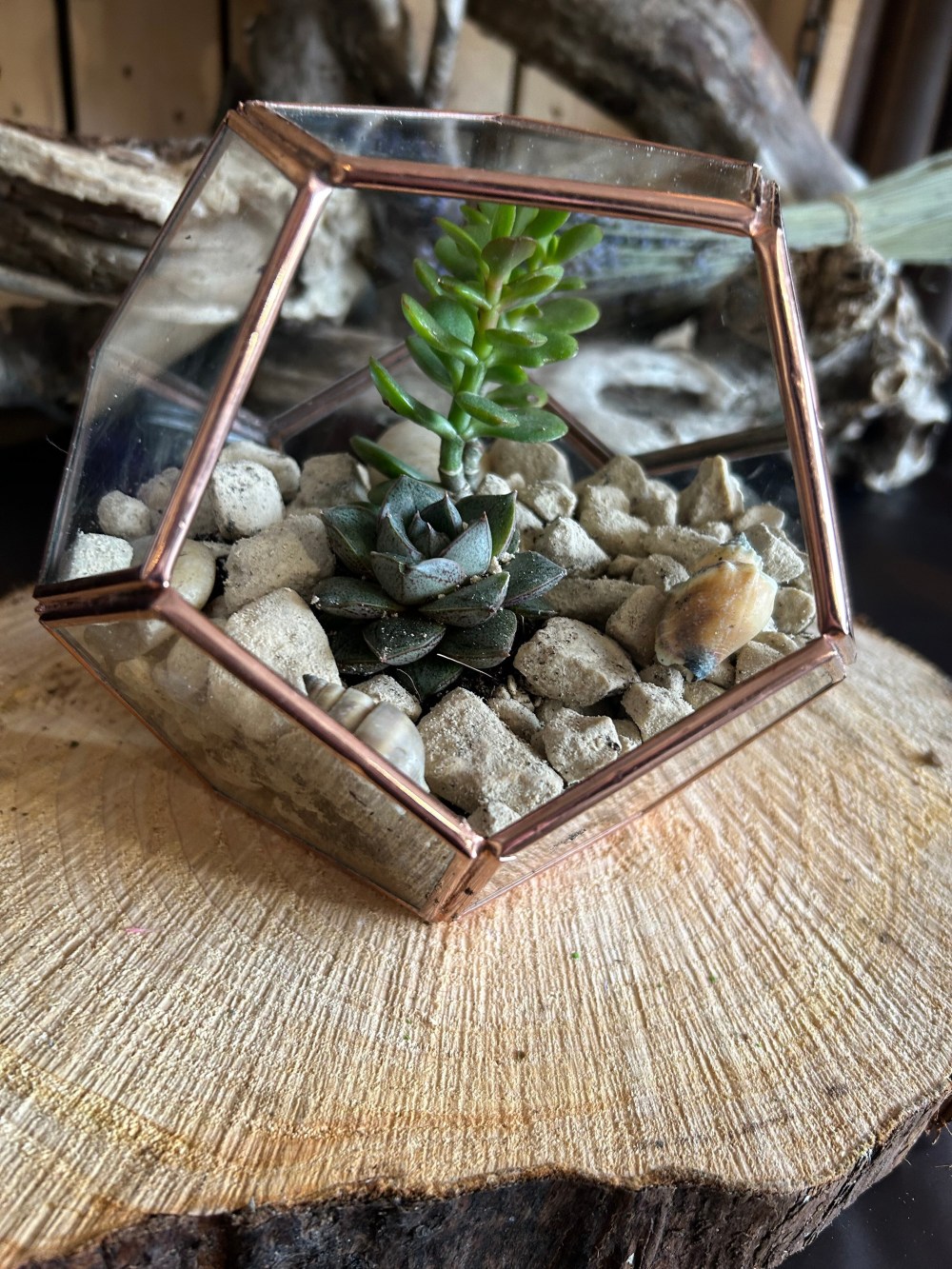Rose Gold Edge Geometric Cube Terrarium Product Image