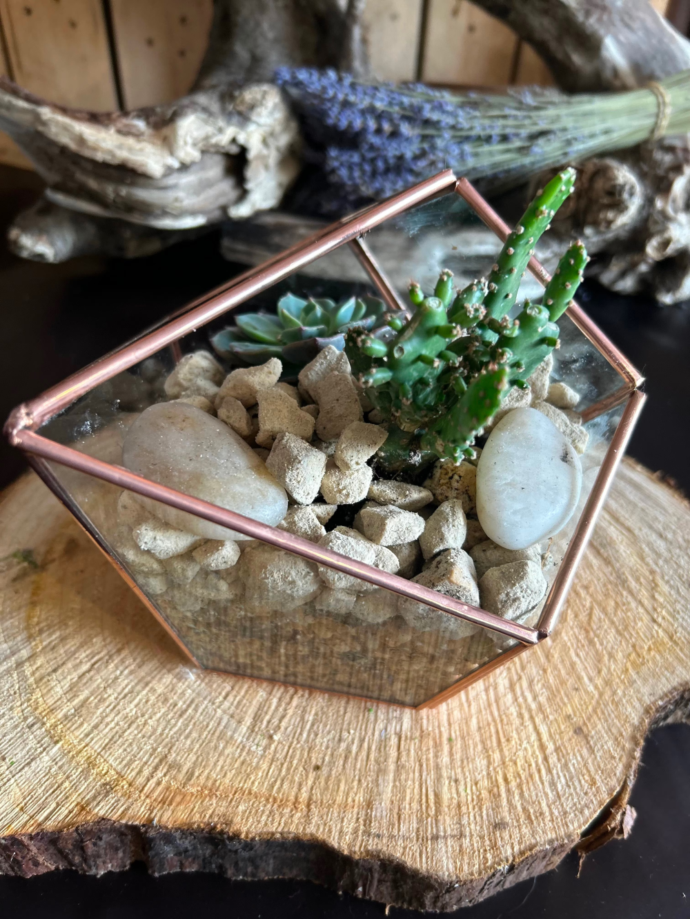 Rose Gold Geometric Triangle Shaped Terrarium Product Image